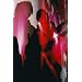 BOOM BOOM SATELLITES JAPAN TOUR 2006 at STUDIO COAST�q�ʏ�Ձr [DVD]