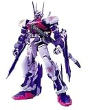 1/100 �K���_���A�X�g���C�~���[�W���t���[�� (�@����m�K���_��SEED DESTINY)