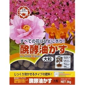 �������y �����y�`���j�A�� �嗱 2kg
