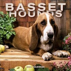 Basset Hounds 2004 Calendar