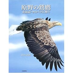 ����̘h��\�k�C���E�T���x�c�ɕ���