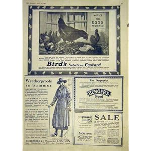 【クリックでお店のこの商品のページへ】鳥のカスタード粉広告 Burberrys のコート 1917 年