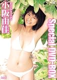 ����R�� Special DVD-BOX
