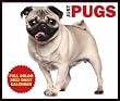 Just Pugs 2012 Calendar (Just (Willow Creek))