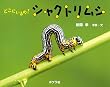 �ǂ��ɂ����?�V���N�g�����V (�ӂ��������ς��ʐ^�G�{)