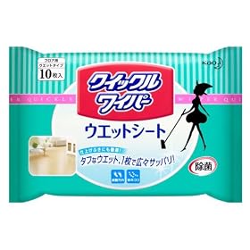 �ԉ� �N�C�b�N�����C�p�[ �E�G�b�g�V�[�g�P�O��