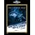 �j���[���[�N1997 (���j�o�[�T���E�U�E�x�X�g2008�N��4�e) [DVD]