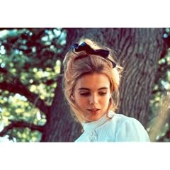 �݂��������������R�� [DVD]