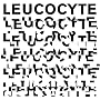 Leucocyte