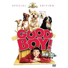 �f���u���v�B (���ʕ�) [DVD]