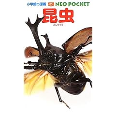 ���� (���w�ق̐}�� NEO�|�P�b�g)