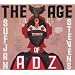 2010�N�Z���N�g