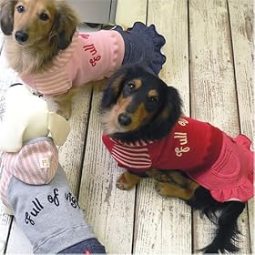 ���u+���u�����s(���^���p�A�T�C�Y:NL�A�J���[:13/�O���[��) 61-10401-N