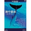 �C���V�j~Into the Sea~ V-music06 [DVD]