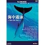 �C���V�j~Into the Sea~ V-music06 [DVD]