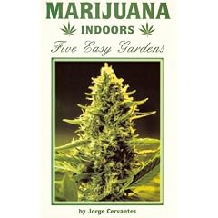 Marijuana Indoors: Five Easy Gardens