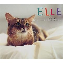�G���\�{�N�ɂ�����
