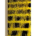 Luis Barragan