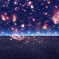 �[��(�ʏ��)