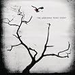 Airborne Toxic Event