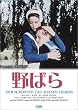 ��΂� [DVD]