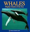 Pop-Up: Whales (National Geographic Action Book)