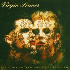 The Moon Looked Down & Laughed