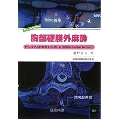 �����d���O�����\�r�W���A���ɉ������MLA(Modified Laminar Approach)