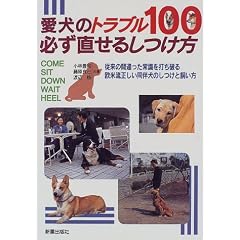 �����̃g���u��100 �K�������邵�����\�]���̊Ԉ�����펯��ł��j�鉢�ė��������������̂����Ǝ�����
