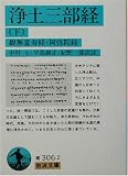 [Book]中村 元 浄土三部経〈下〉観無量寿経・阿弥陀経 (岩波文庫)