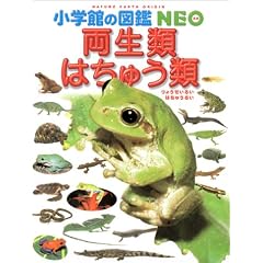 �����ށE�͂��イ�� (���w�ق̐}��NEO)