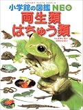 �����ށE�͂��イ�� (���w�ق̐}��NEO)