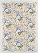 �H�ъ|���ӂƂ� �z���C�g�_�E��85% 150x210cm �V���O�� �T�b�N�X