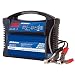 ACDelco(�G�[�V�[�f���R) �S�����o�b�e���[�[�d�� 12V��p AD-0002