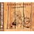 �}�N���X7 ACOUSTIC FIRE!!