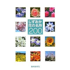 ���������Ԃ̖���200