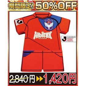 SALE���ƂQ���I���T�O��OFF���������聚��l�C�ȃT�b�J�[�@�A���r���b�N�X�V���@2011ver.�@���j�t�H�[���^�@�t�r�a�������[�P�f�a�@�h�s�b-USB1/AN