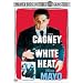 ���M ���ʔ� [DVD]