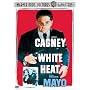 ���M ���ʔ� [DVD]