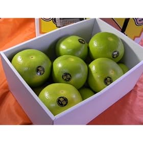�����������i�I�Â��Ɏ��M�A��~�ICA�Y�u�����S�[���h�v�T�L��