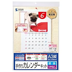 SANWA SUPPLY �C���N�W�F�b�g����J�����_�[�L�b�g(�Ǌ|�E�c�EA3)