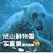 �ǂ݂����{�E�~�����{ vol,2