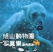 ���R�������ʐ^�W (DVD-VIDEO(1��)�t)