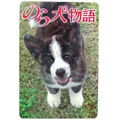 �̂猢����
