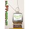 GReeeeN �j���[�����[�X