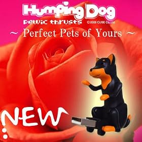 Humping Dog(�h�[�x���}��)