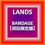 BANDAGE�y�������Ձz