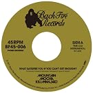 What Satisfies You If You Can't Get Enough? c/w Exodus [7inch analog]