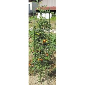 DAIM�@�T�|�[�g�x���@11mm�~1500mm�@�C�{�t�x���ƃA�[���̃Z�b�g