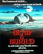 �]���Q���A [DVD]